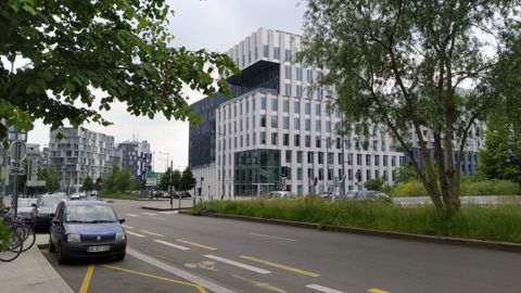 Dans les villes françaises étudiées, la moitié des arbres plantés sont menacés par des températures trop élevées et des précipitations trop peu abondantes. ©L. Hespel